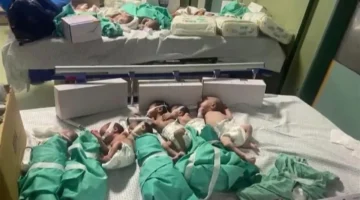 وثائقي يرصد معاناة صحاب الأرض وحصار مستشفى الشفاء